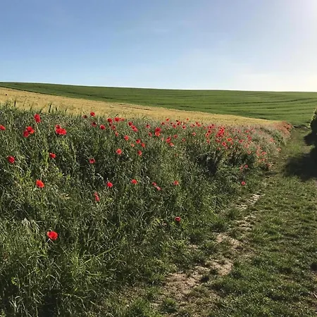 Apartamento Zum Zaubergarten *