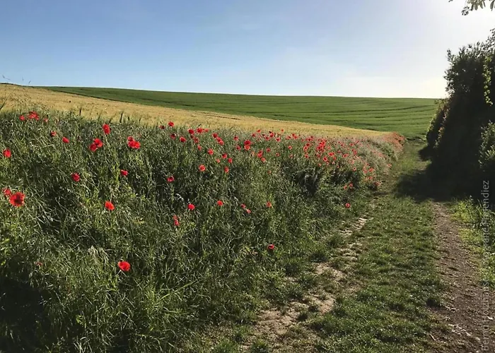 Apartament Zum Zaubergarten *
