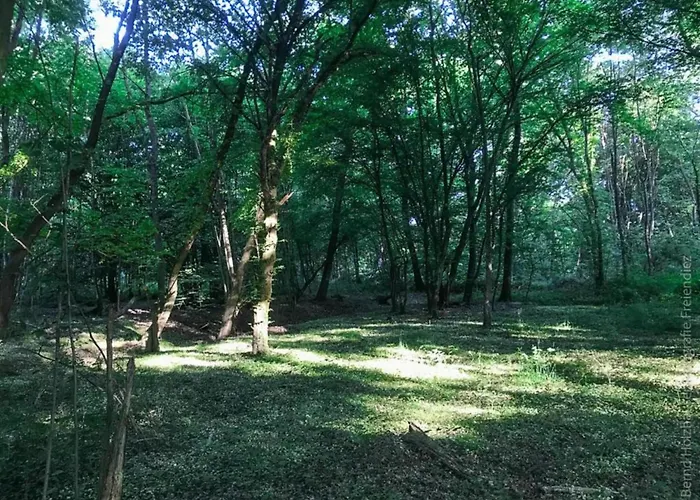 Zum Zaubergarten Apartament